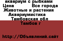 аквариум с рыбками › Цена ­ 1 000 - Все города Животные и растения » Аквариумистика   . Тамбовская обл.,Тамбов г.